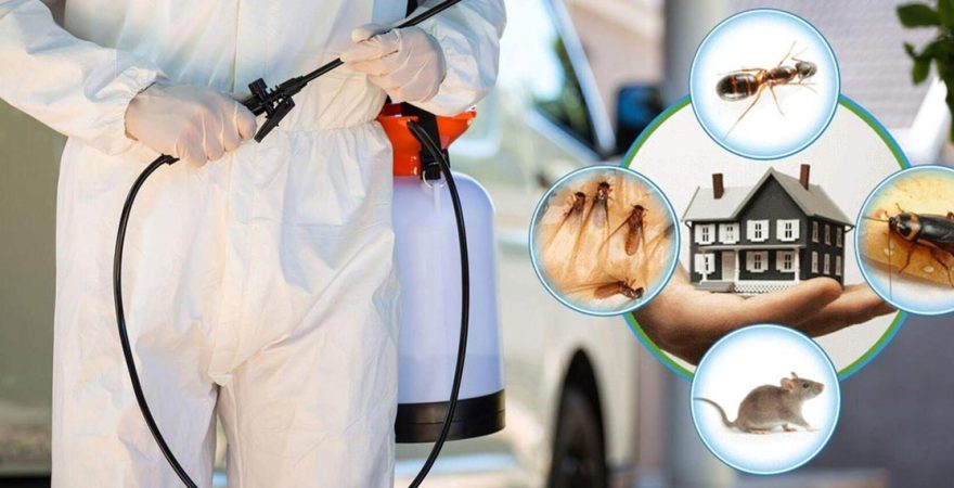 Talas Böcek İlaçlama