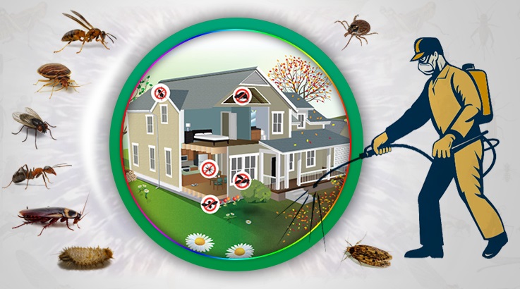 Talas Böcek İlaçlama