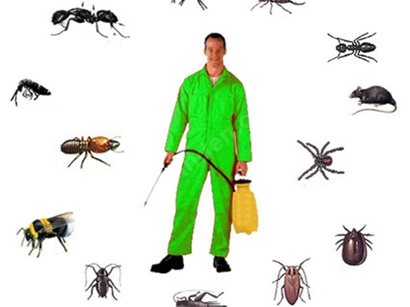 Talas Böcek İlaçlama